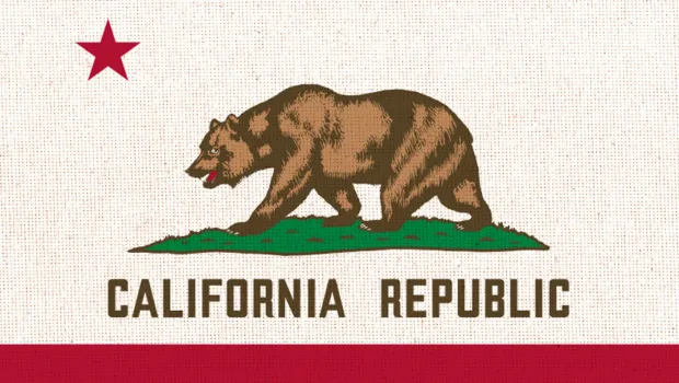 California LLC registration state graphic