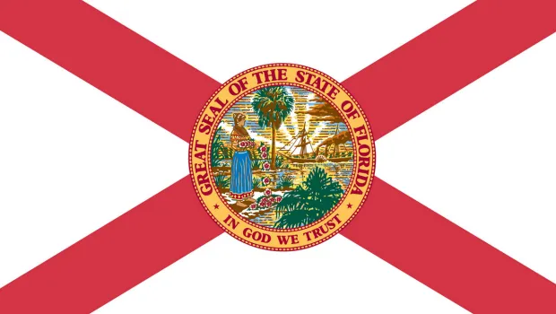 Florida LLC registration state graphic