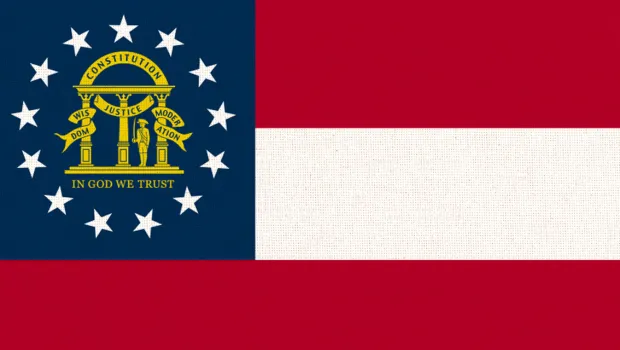 Georgia LLC registration state graphic