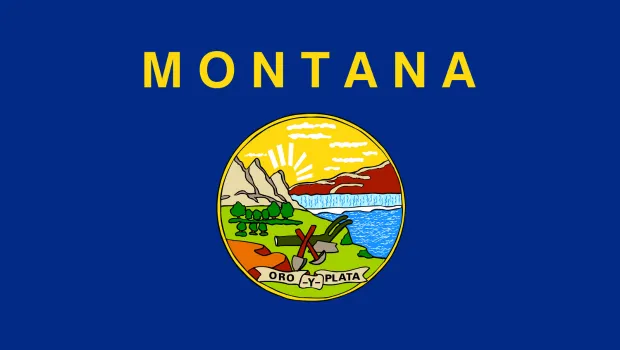 Montana LLC registration state graphic