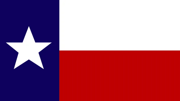 Texas LLC registration state graphic