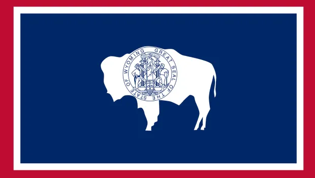 Wyoming LLC registration state graphic